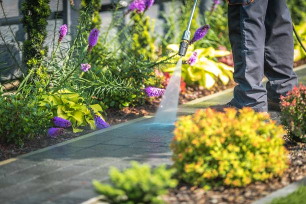 Best Parking Lot and Garage Cleaning  in Desoto Lakes, FL