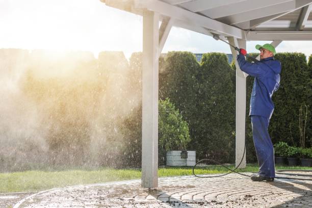 Best Graffiti Removal  in Desoto Lakes, FL