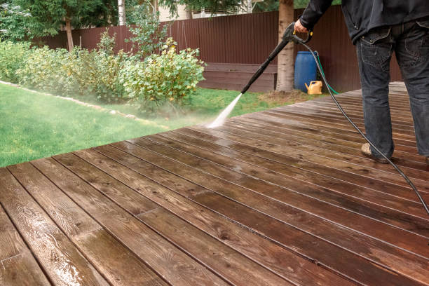 Best Sidewalk and Walkway Cleaning  in Desoto Lakes, FL